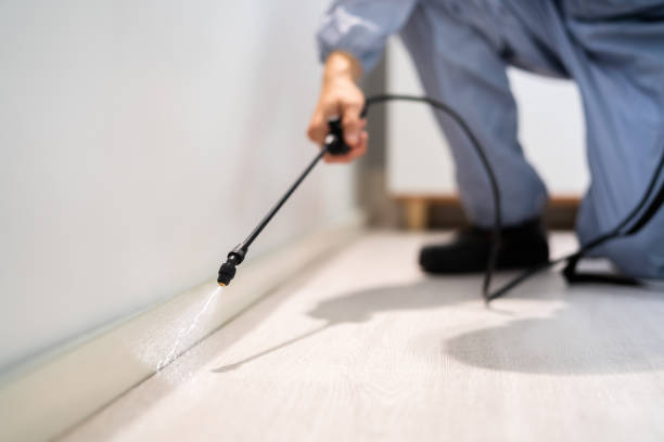 Rodent Entry Point Assessment in Westerville