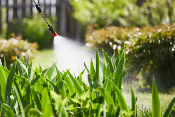 Tamper-Resistant Bait Stations for Rodents in Westerville