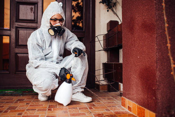 Attic and Crawl Space Rodent Treatment in Westerville