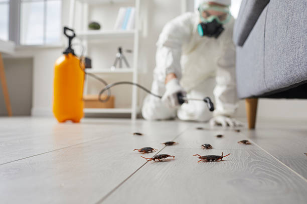 Commercial Rodent Management in Westerville